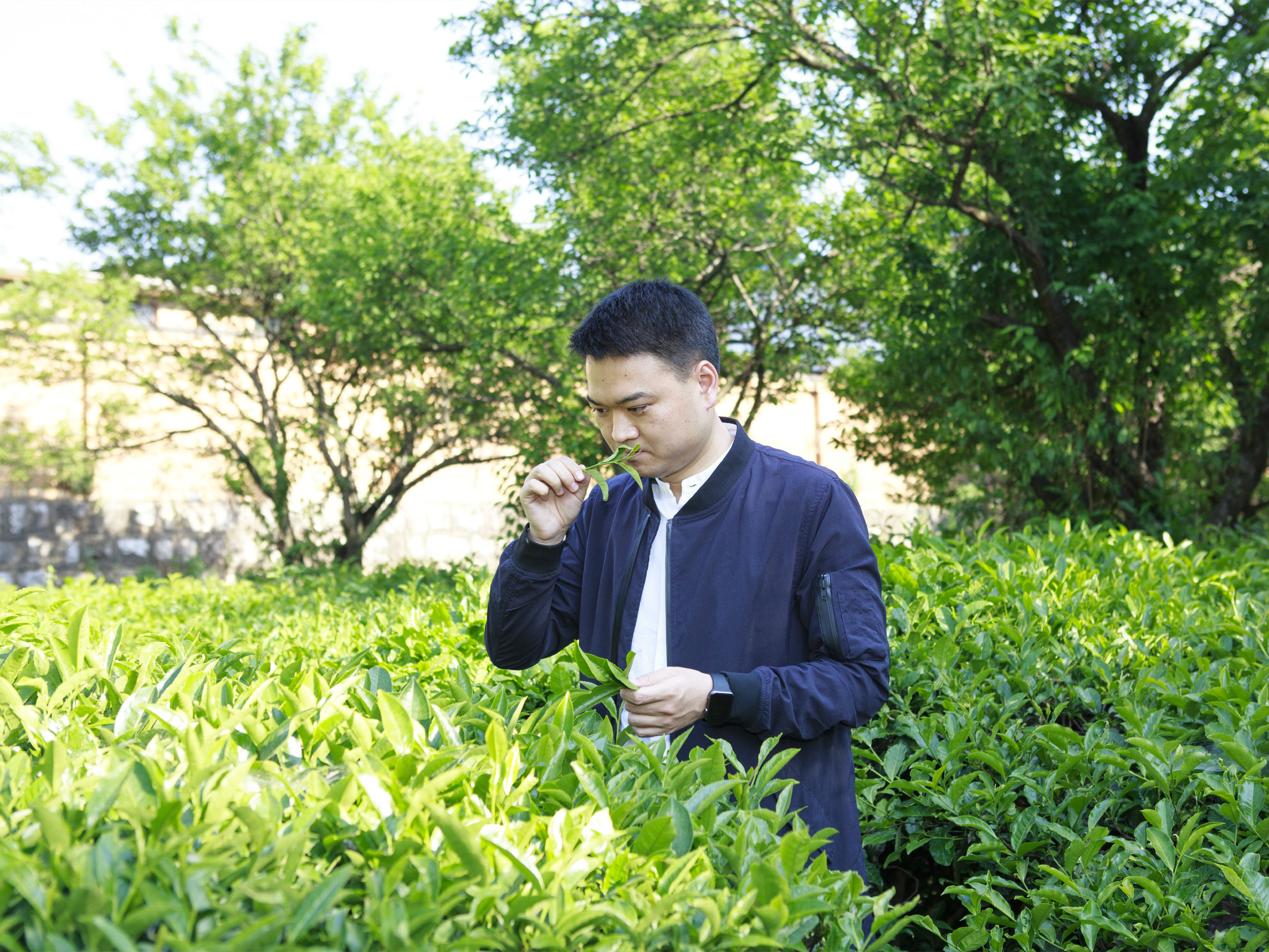 李晓军.jpg