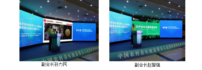 图片8.jpg